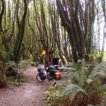 Gualala County Campground